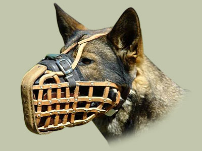 Police Style leather dog muzzle